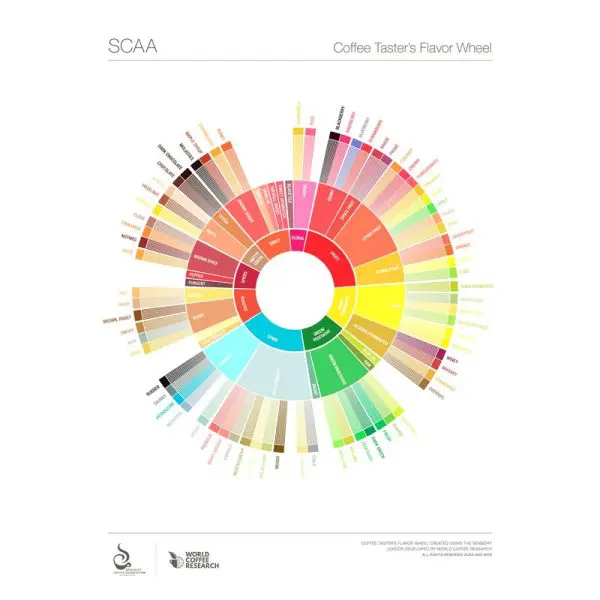 Afiche (Poster) rueda de sabores SCA 70cm x 50cm